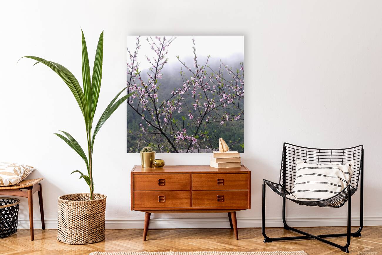 MEDITATION - 1.4 – Free Shipping Reproduction