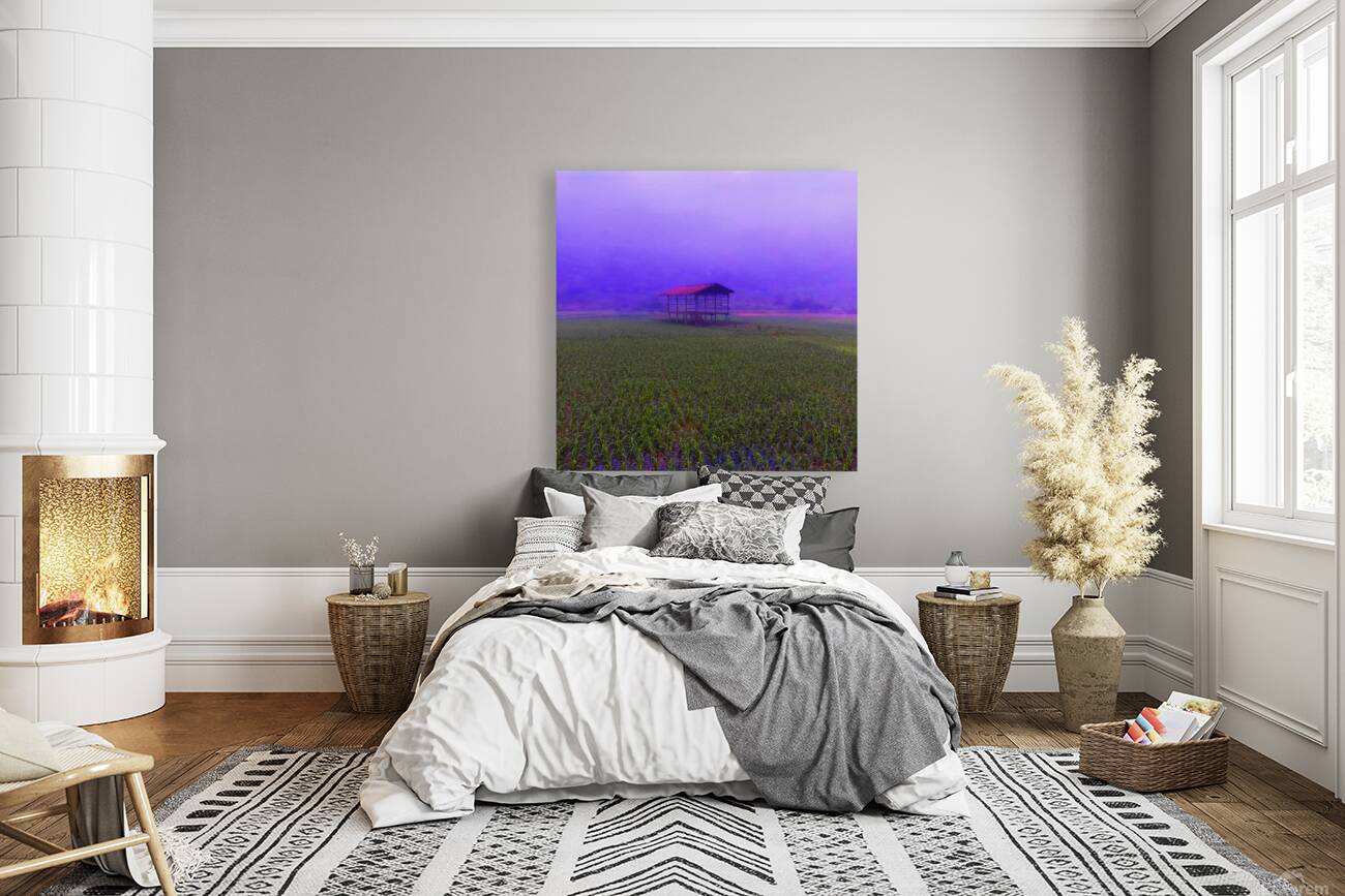 FIELD - 1.4 – Free Shipping Reproduction