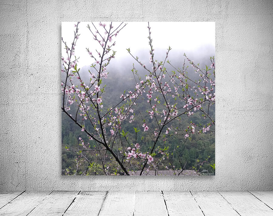 MEDITATION - 1.4 – Free Shipping Wall Preview