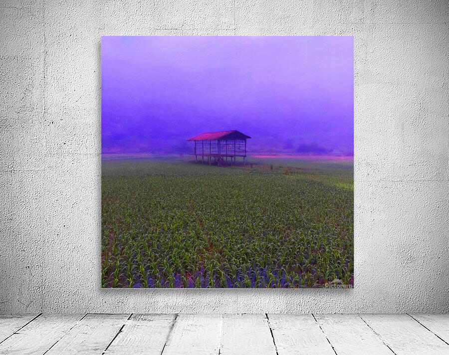 FIELD - 1.4 – Free Shipping Wall Preview