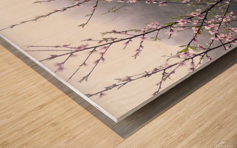 MEDITATION - 1.4 – Free Shipping Wood print