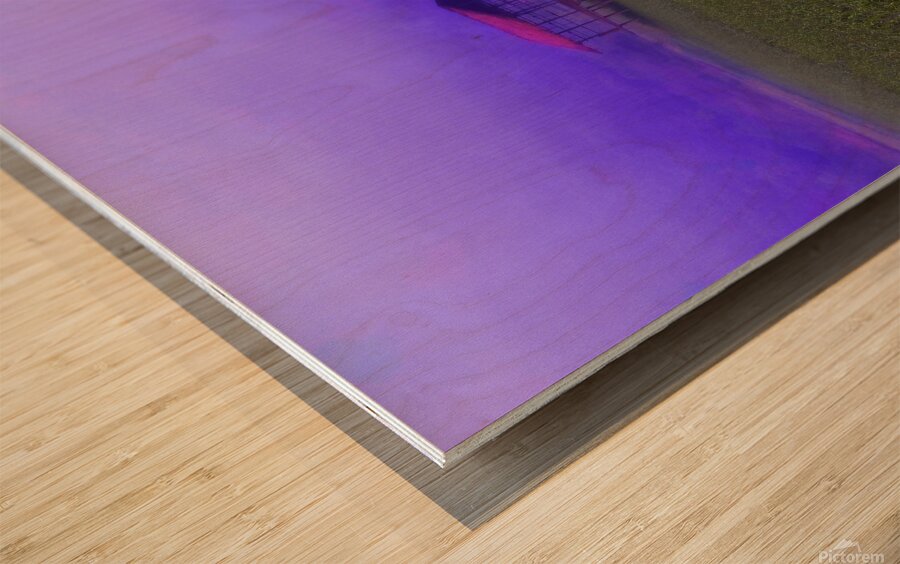 FIELD - 1.4 – Free Shipping Wood print