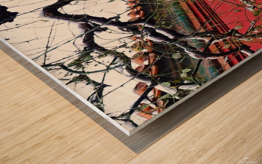 GLANCE - 1.2 – Free Shipping Wood print