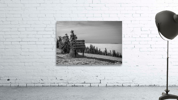Quiet Ease Wall Preview