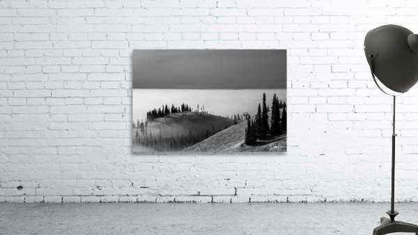 Rollers Wall Preview