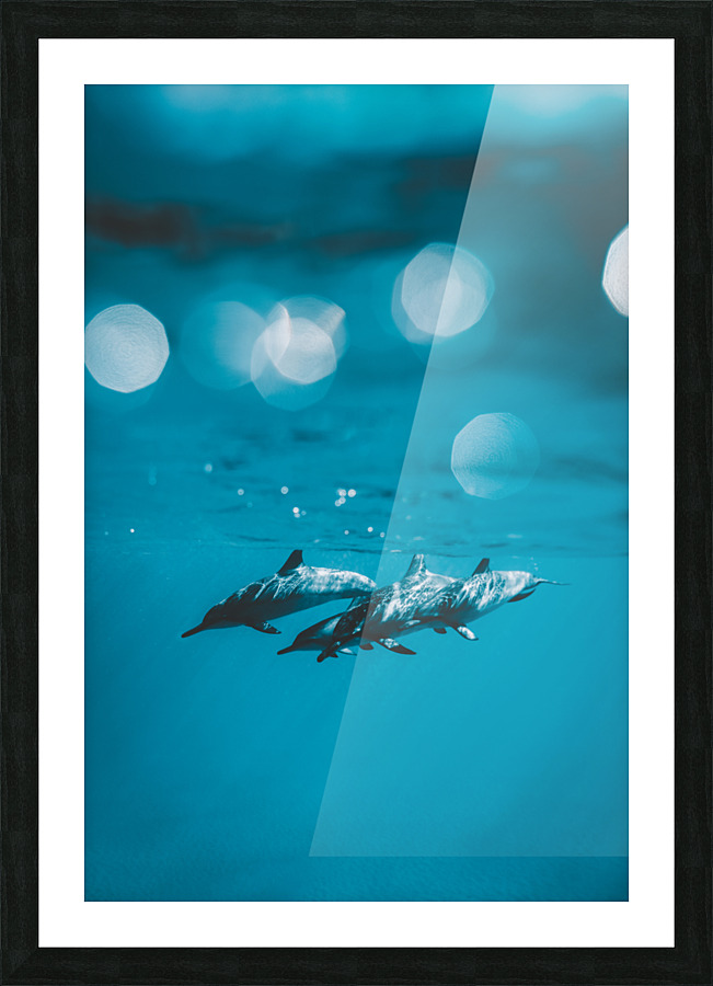 Spinners Picture Frame print