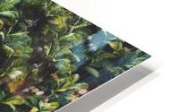 Royal Palms HD Metal print