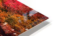 waterfall autum HD Metal print