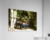Footbridge Acrylic Print