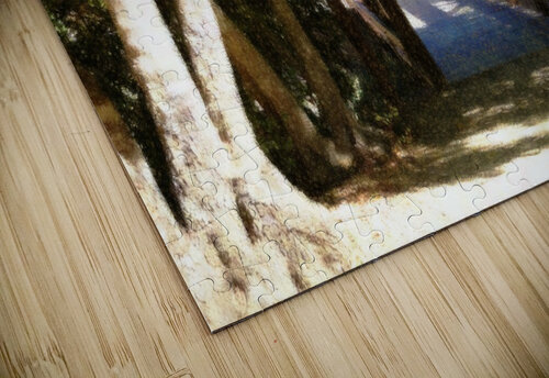Footbridge Tony Saxon puzzle