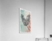 Feather 2 Acrylic Print