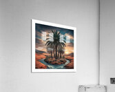 A charming picture of a palm tree in the desert Acrylic Print