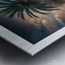 A charming picture of a palm tree in the desert Metal print