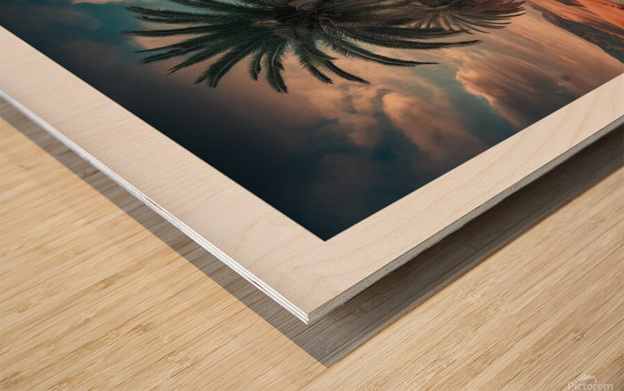 A charming picture of a palm tree in the desert Wood print