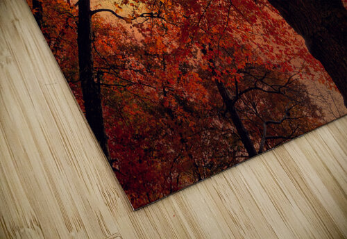  Red  Leaves MLKerr puzzle