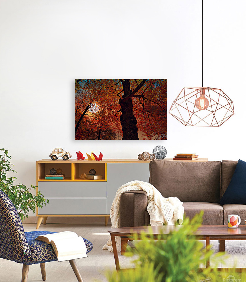  Red  Leaves Reproduction