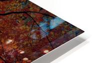  Red  Leaves HD Metal print