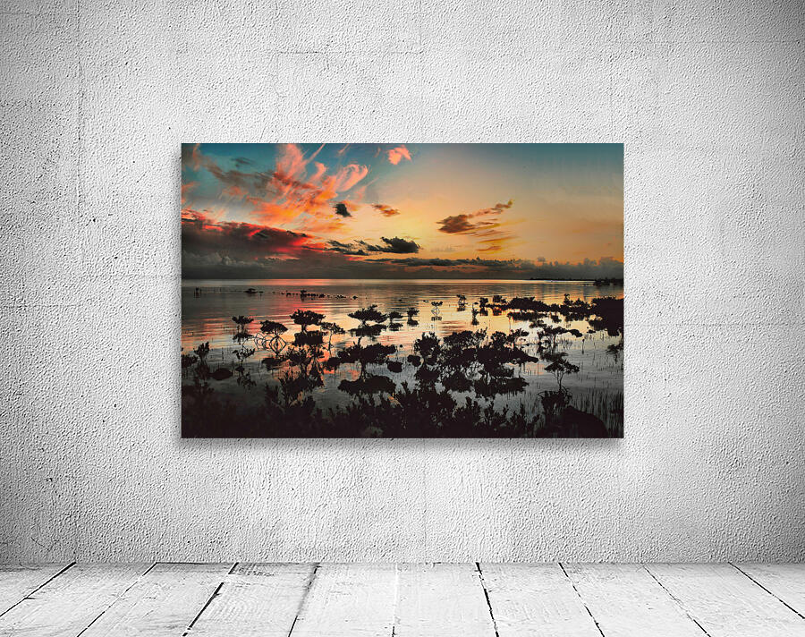Pink Clouds  Wall Preview