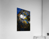 Bewilderment Acrylic Print
