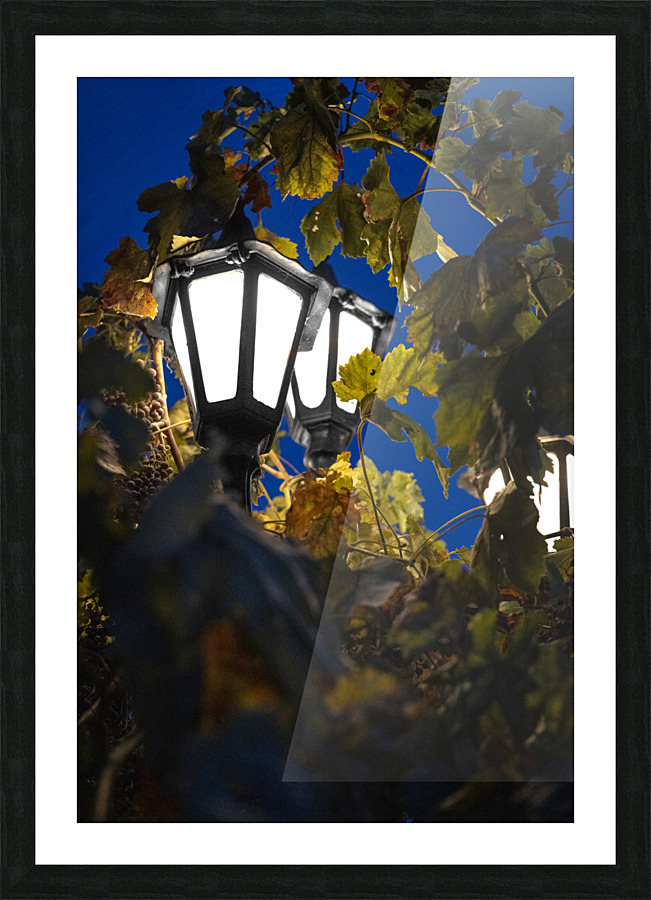 Bewilderment Picture Frame Printing