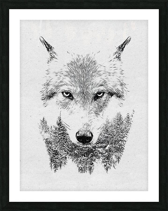 Wolf Drawing Picture Frame print