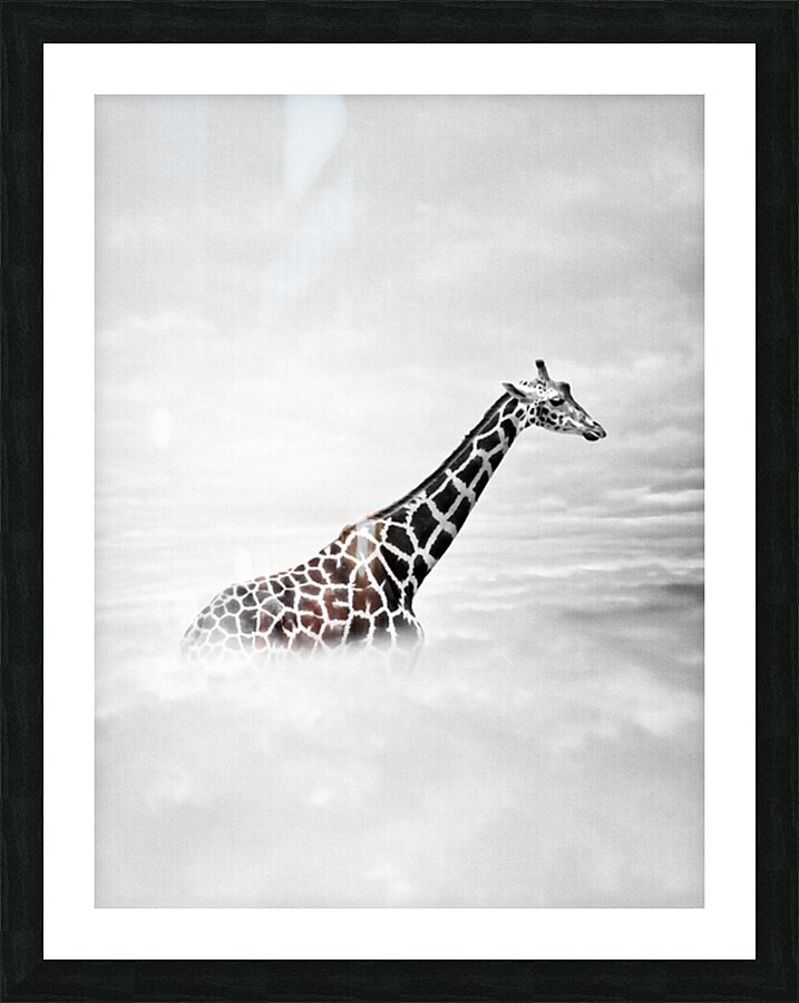 Giraffe In The Clouds Picture Frame print