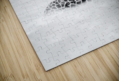 Giraffe In The Clouds groxx puzzle