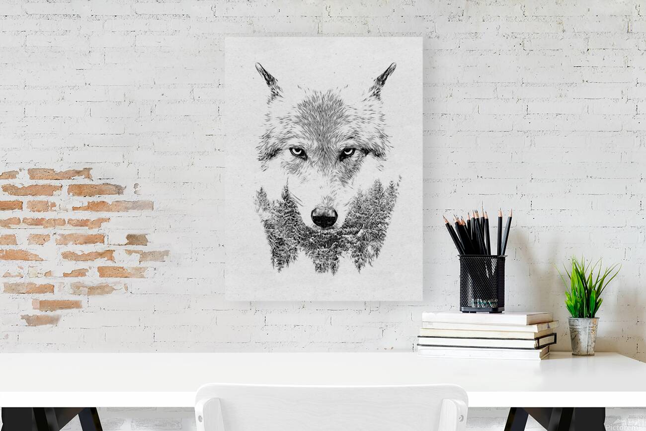 Wolf Drawing Reproduction