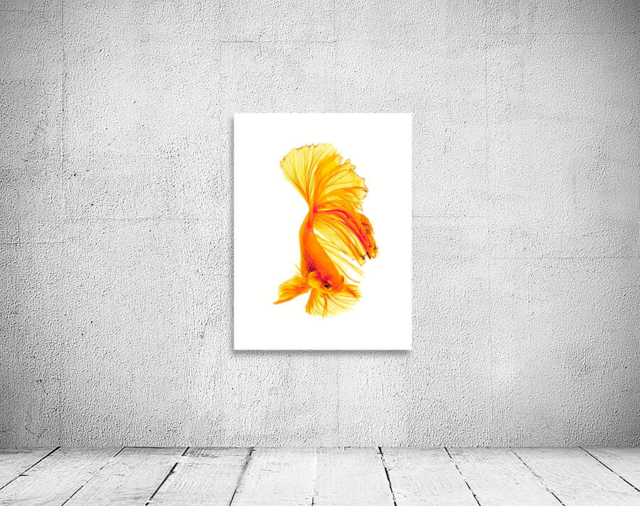 Minimal Siamese Catfish Wall Preview