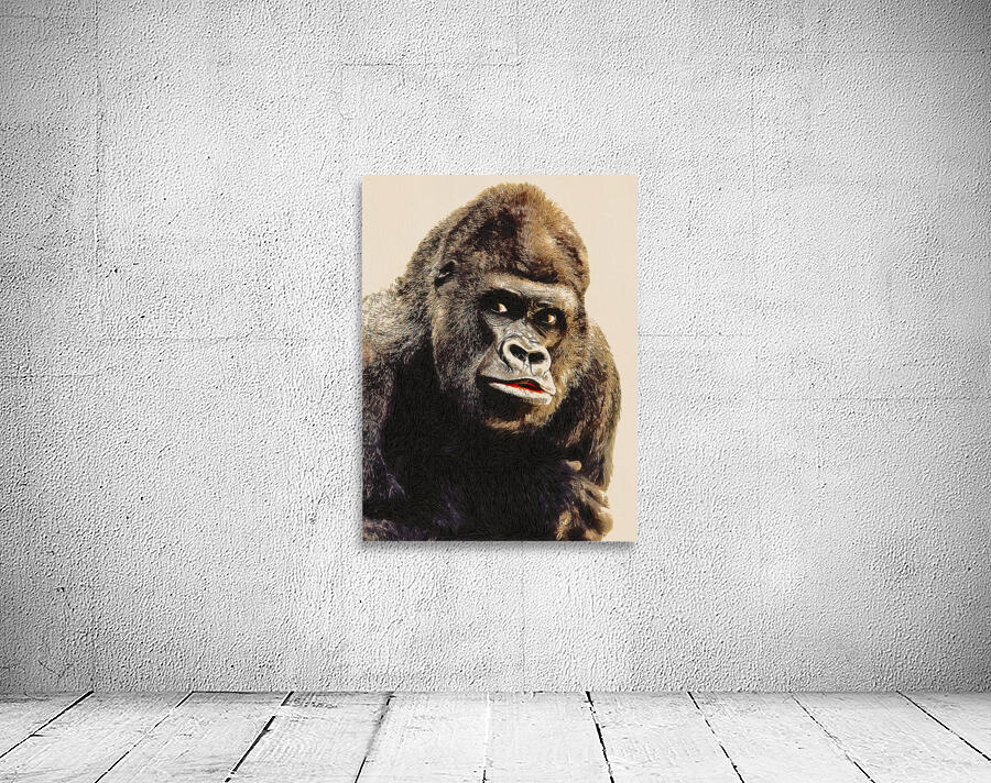 Gorilla Drawing Wall Preview
