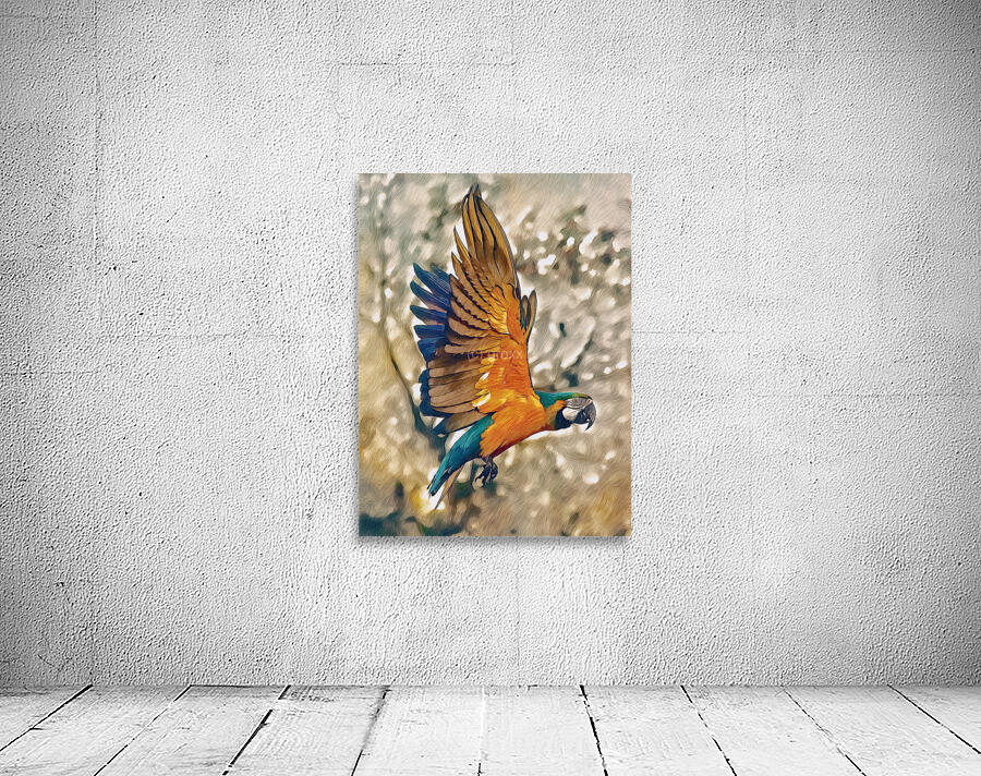 Parrot In Flight Drawing Wall Preview