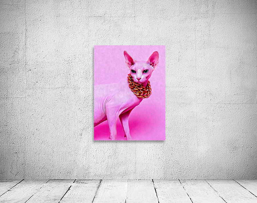 Sphynx Cat Pink Wall Preview