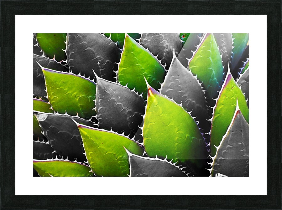 Thorny Picture Frame Printing