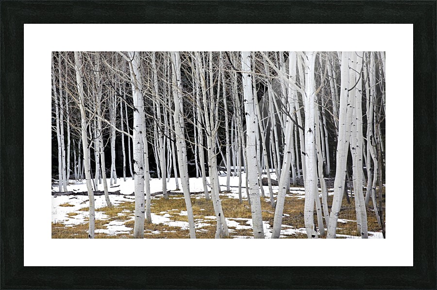 Coming Home Picture Frame Printing