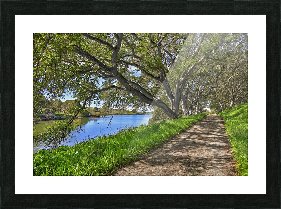 By the river Picture Frame Printing