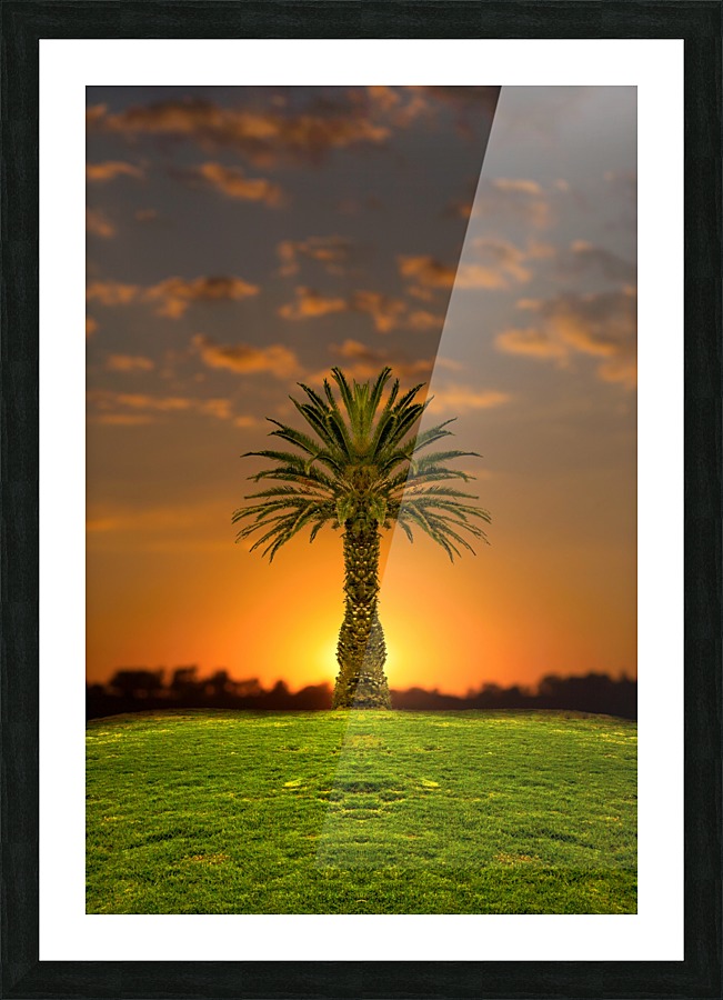 Phoenix Rising Picture Frame Printing