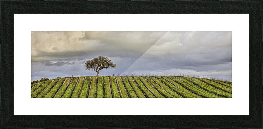 Commited Picture Frame Printing
