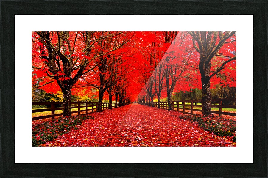 Red Carpet Picture Frame Printing