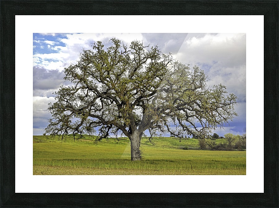 Lone Settler Picture Frame Printing