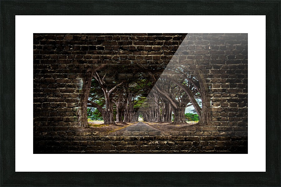 Intertwined Picture Frame Printing