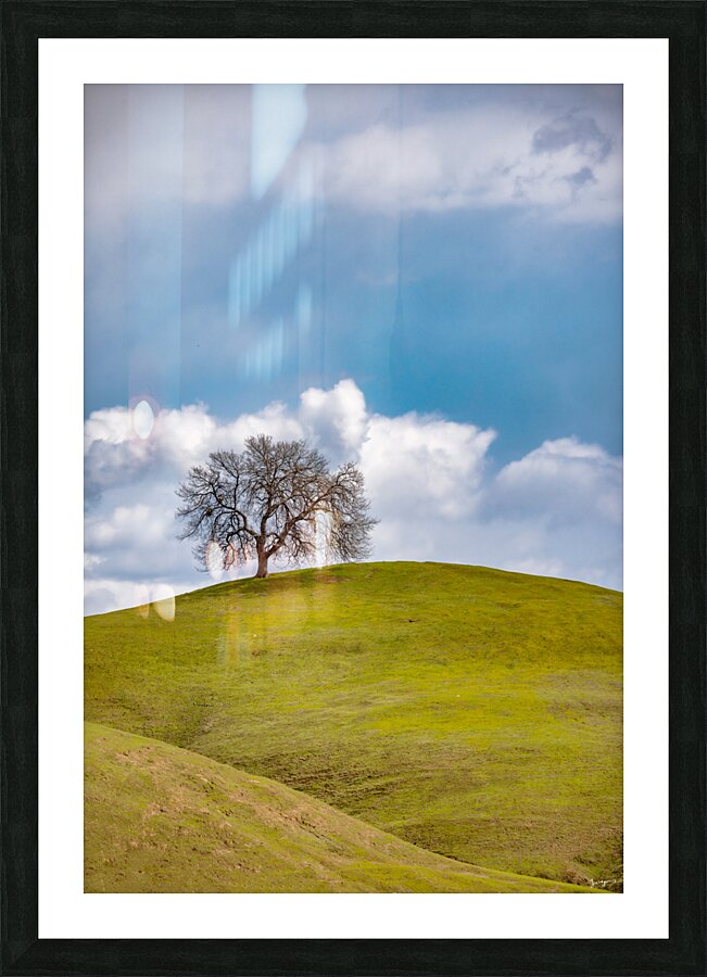 Lone Tree  Picture Frame Printing