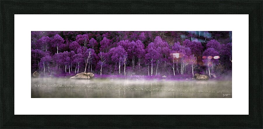 Purple Palette  Picture Frame Printing