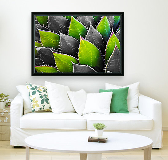 Thorny Reproduction