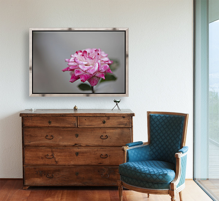 Desert rose Reproduction
