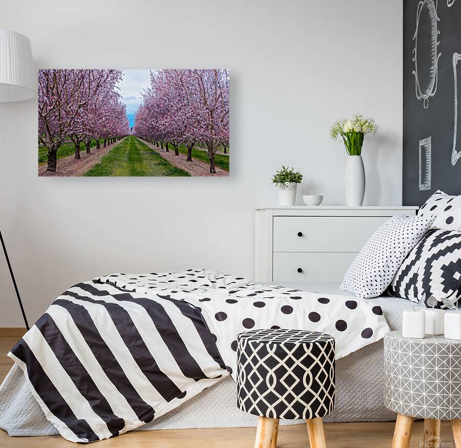 Almond Bloom Reproduction