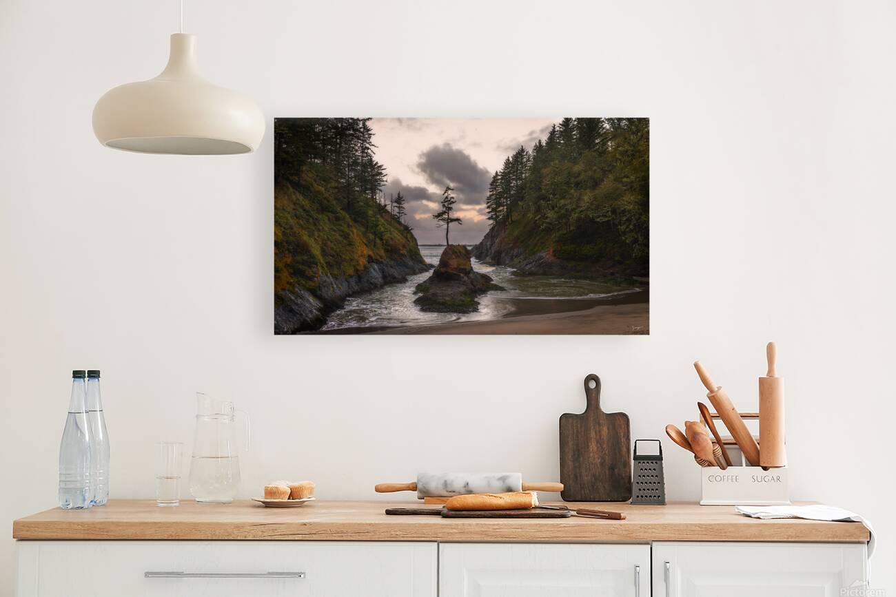 My Secret Cove Reproduction