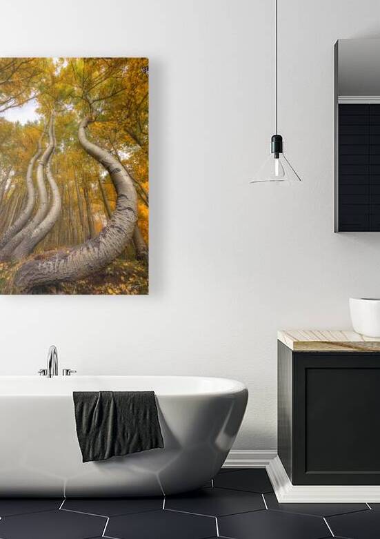 Curvy Ladies - Aspen Art Wall Decor by Jongas Photo