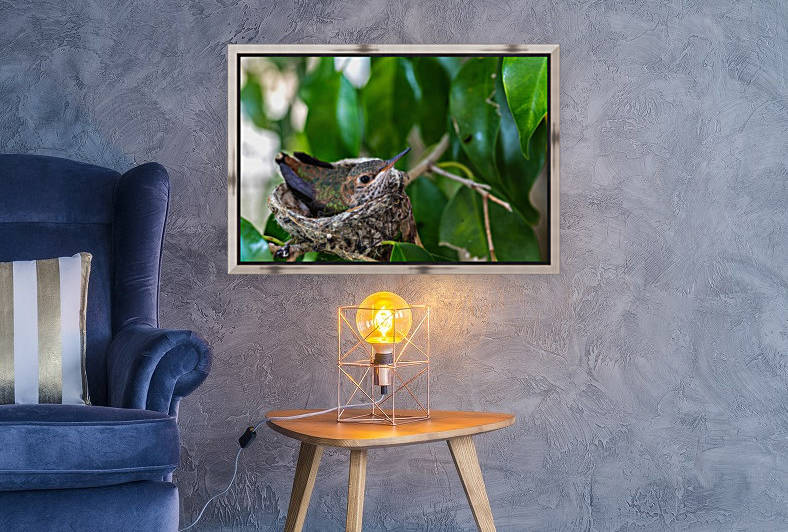 Dreamer - Modern Wall Art with hummingbird by Jongas Photo