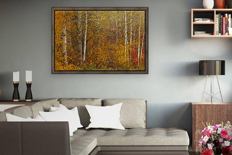 Oil Painting- Fall Trees Photography Art by Jongas Photo