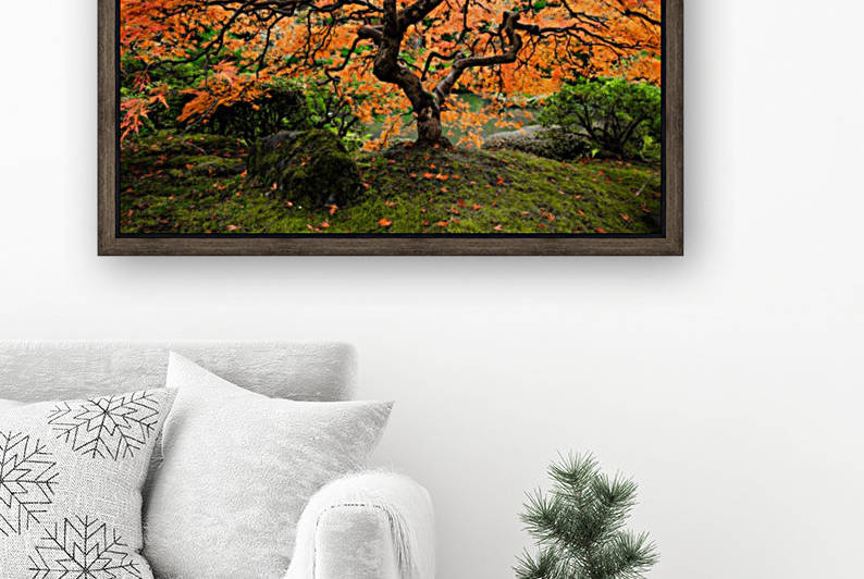 autumn bliss by Jongas Photo